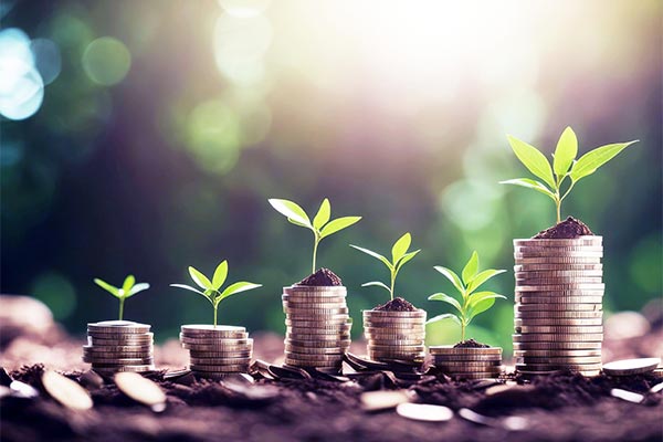 plants growing on coin stacks